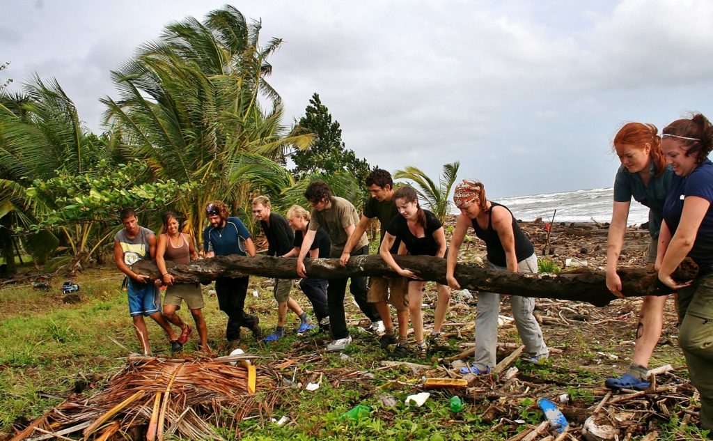 Reforestation Bringing the Trees Back to Life Action Change