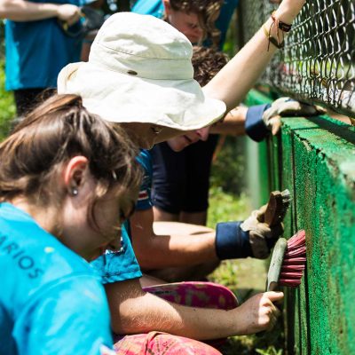 volunteers working from a charity
