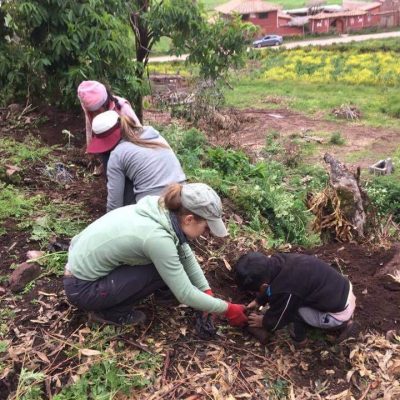 Everyone involved in planting in Peru