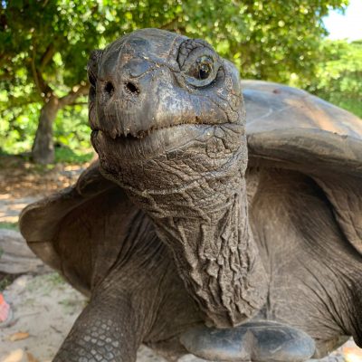 Seychelles