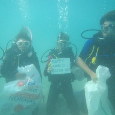 Fiji Projects