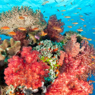 Marine Education