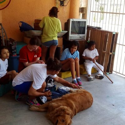 Mexico-Dog-Therapy.-Donation-report-4-1080x675