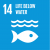 SDG 14 Life Under Sea
