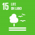 SDG 15 Life on Land