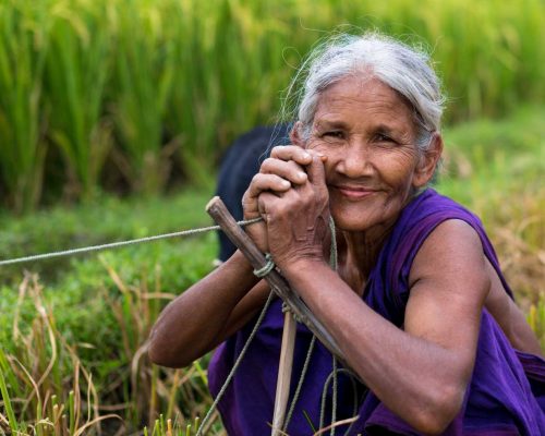 adult Bangladesh local
