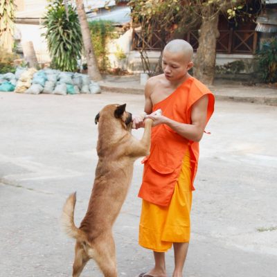 laos-novice-at-the-temple_33592572663_o